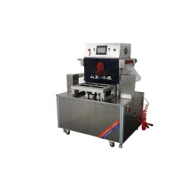 DZ-ZT Meat seafood vacuum packaging machine electric vacuum machine